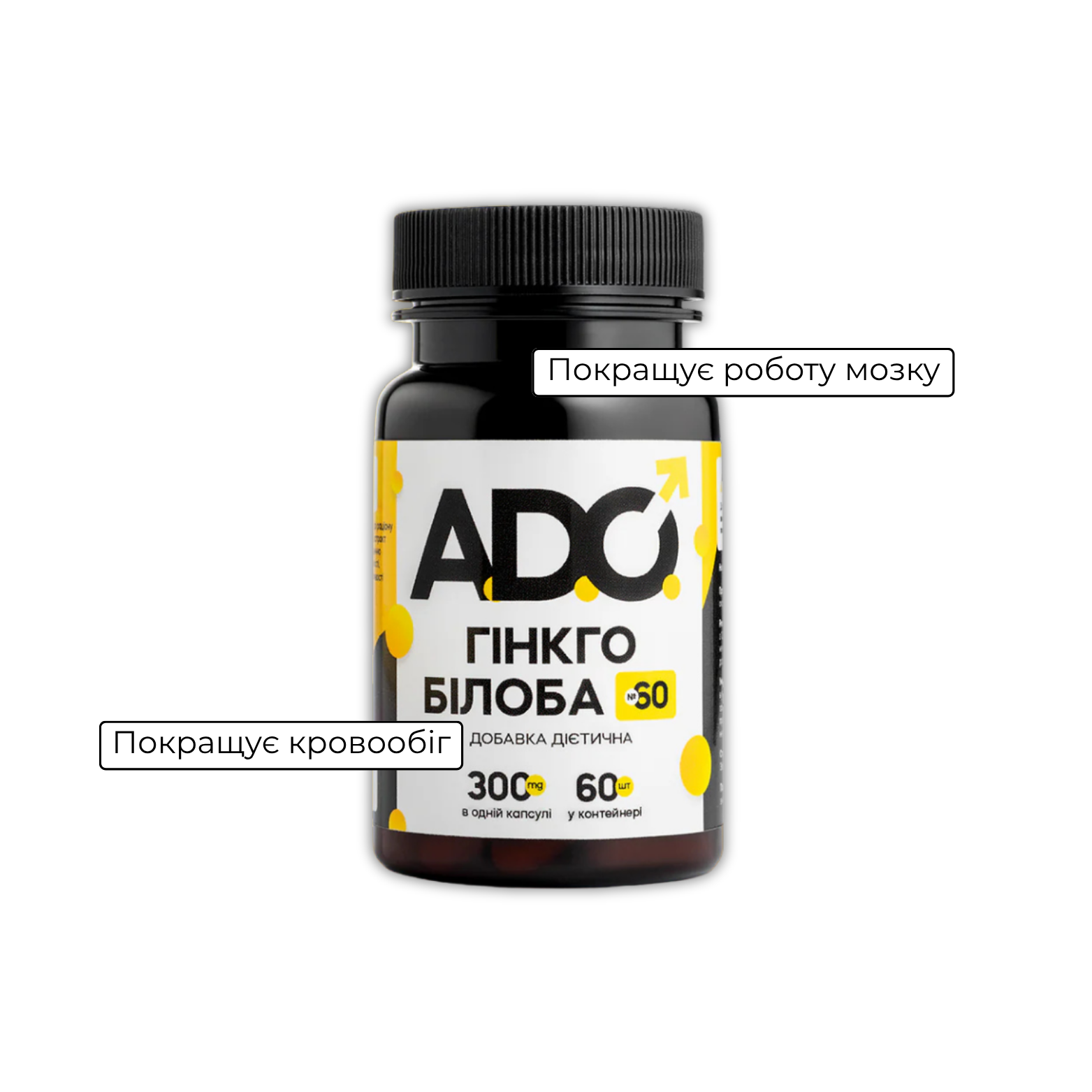 Гінкго білоба